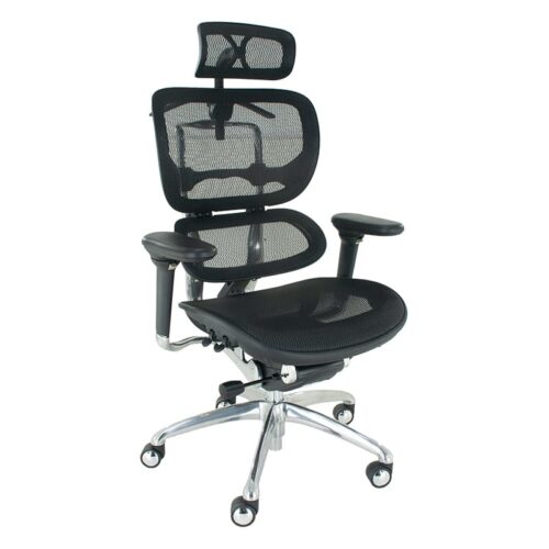 ERGO Executive Chair