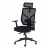 Mesh Ergo Office Chair with Headrest