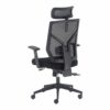 Mesh Ergo Office Chair with Headrest