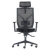 Mesh Ergo Office Chair with Headrest