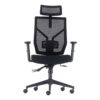 Mesh Ergo Office Chair with Headrest