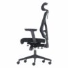 Mesh Ergo Office Chair with Headrest