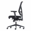 Mesh Ergo Office Chair