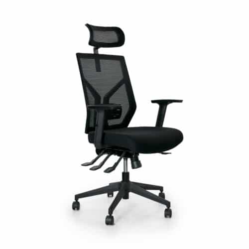 Mesh Ergo Office Chair with Headrest