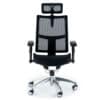 Whistle Executive Office Chair