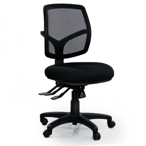 Posture Ergo Chair