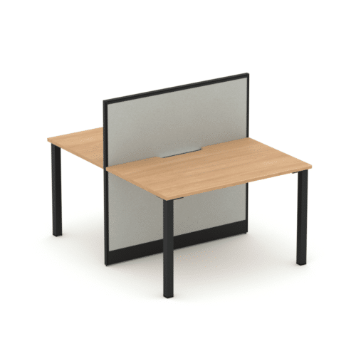 Quiet 2 Person Double Desk