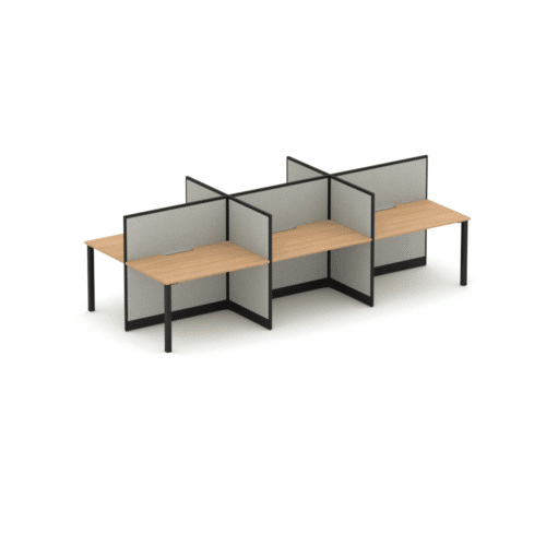 Quiet 6 Person Double Desk